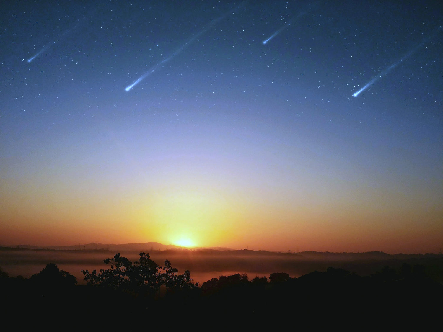 Meteorites