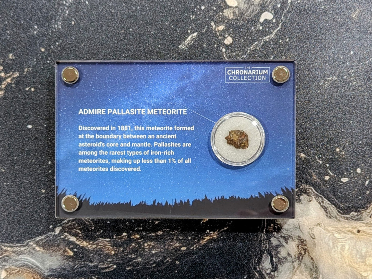 Admire Pallasite Meteorite
