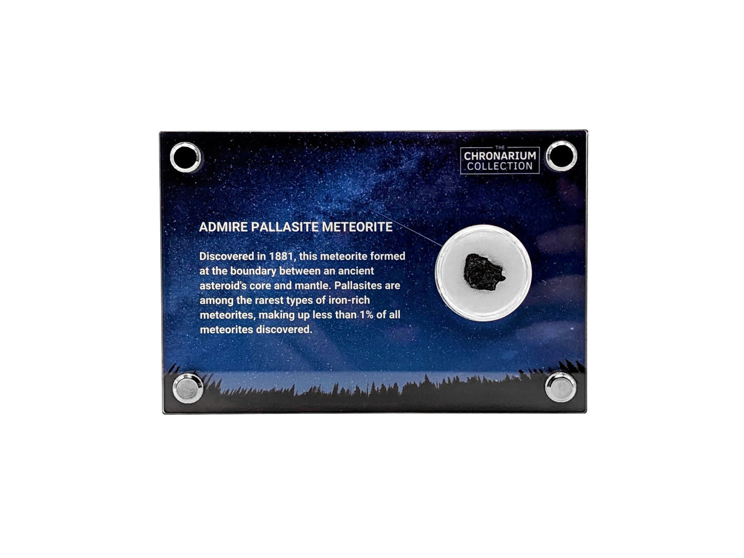 Admire Pallasite Meteorite
