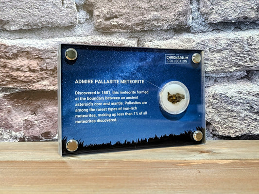 Admire Pallasite Meteorite