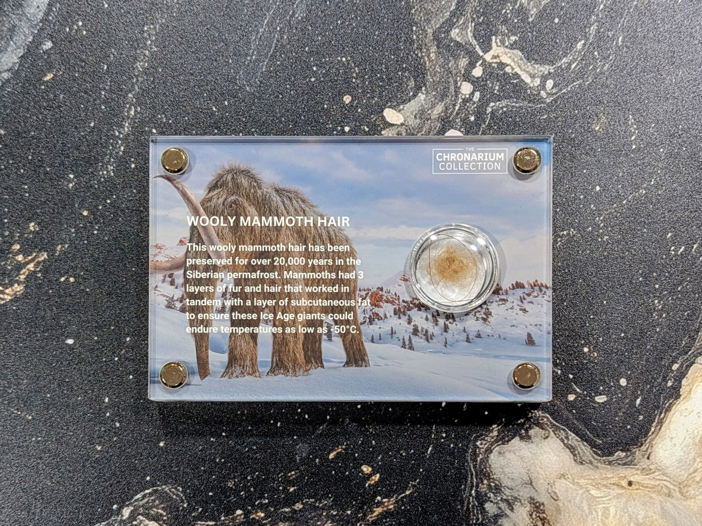 Woolly Mammoth Hair
