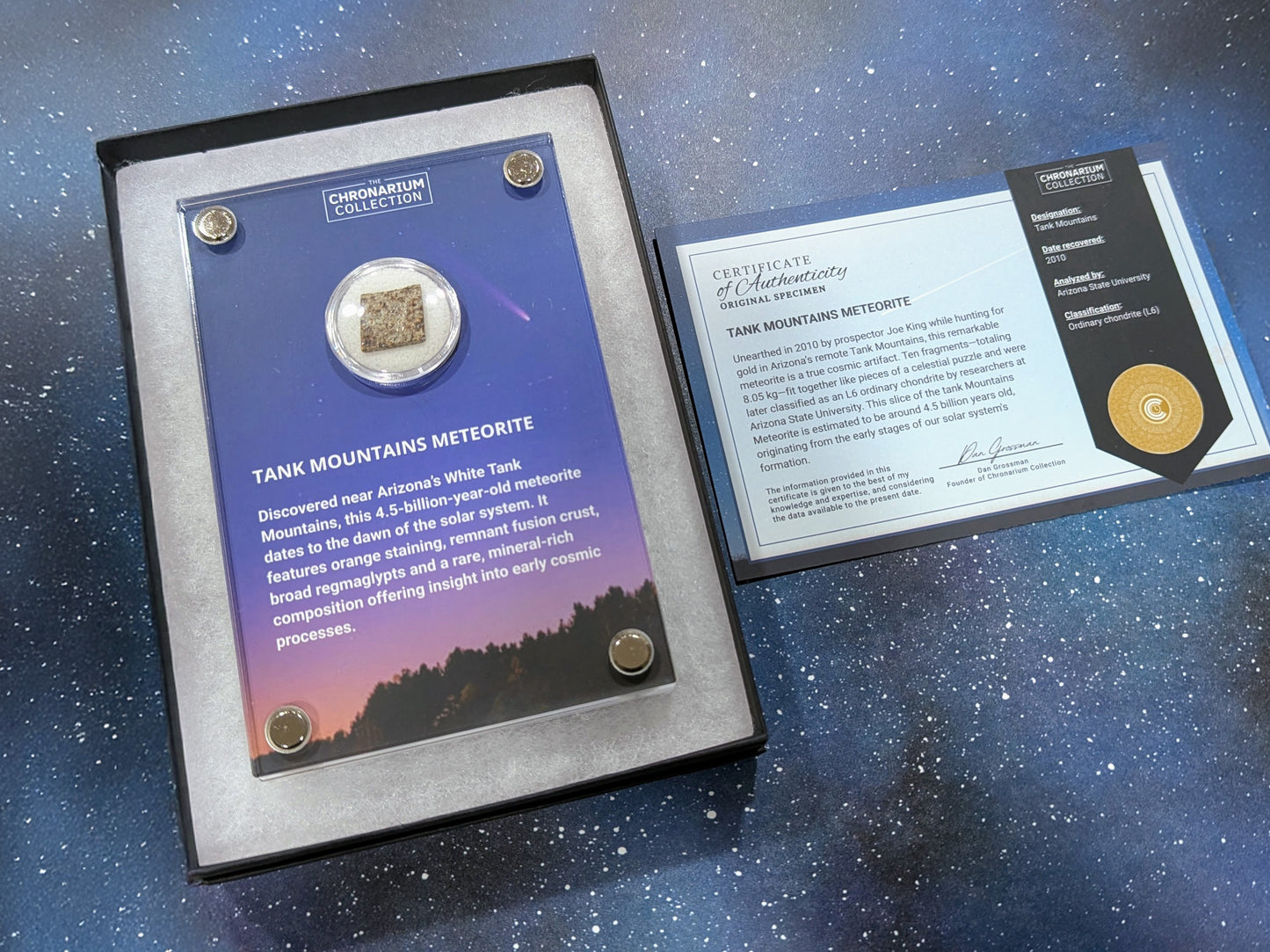 Early Solar System Meteorite