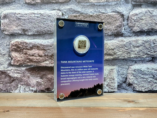 Early Solar System Meteorite