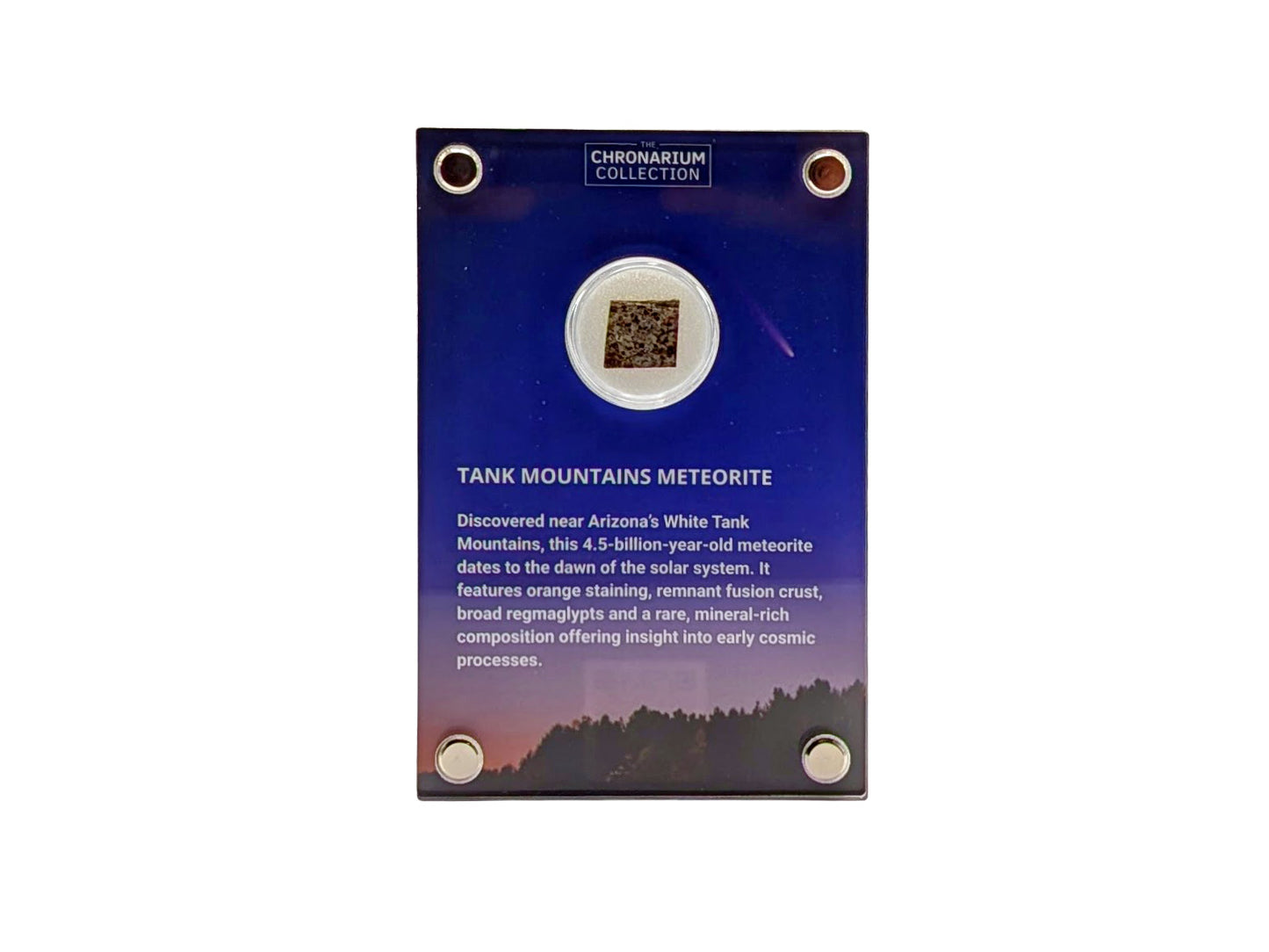 Early Solar System Meteorite
