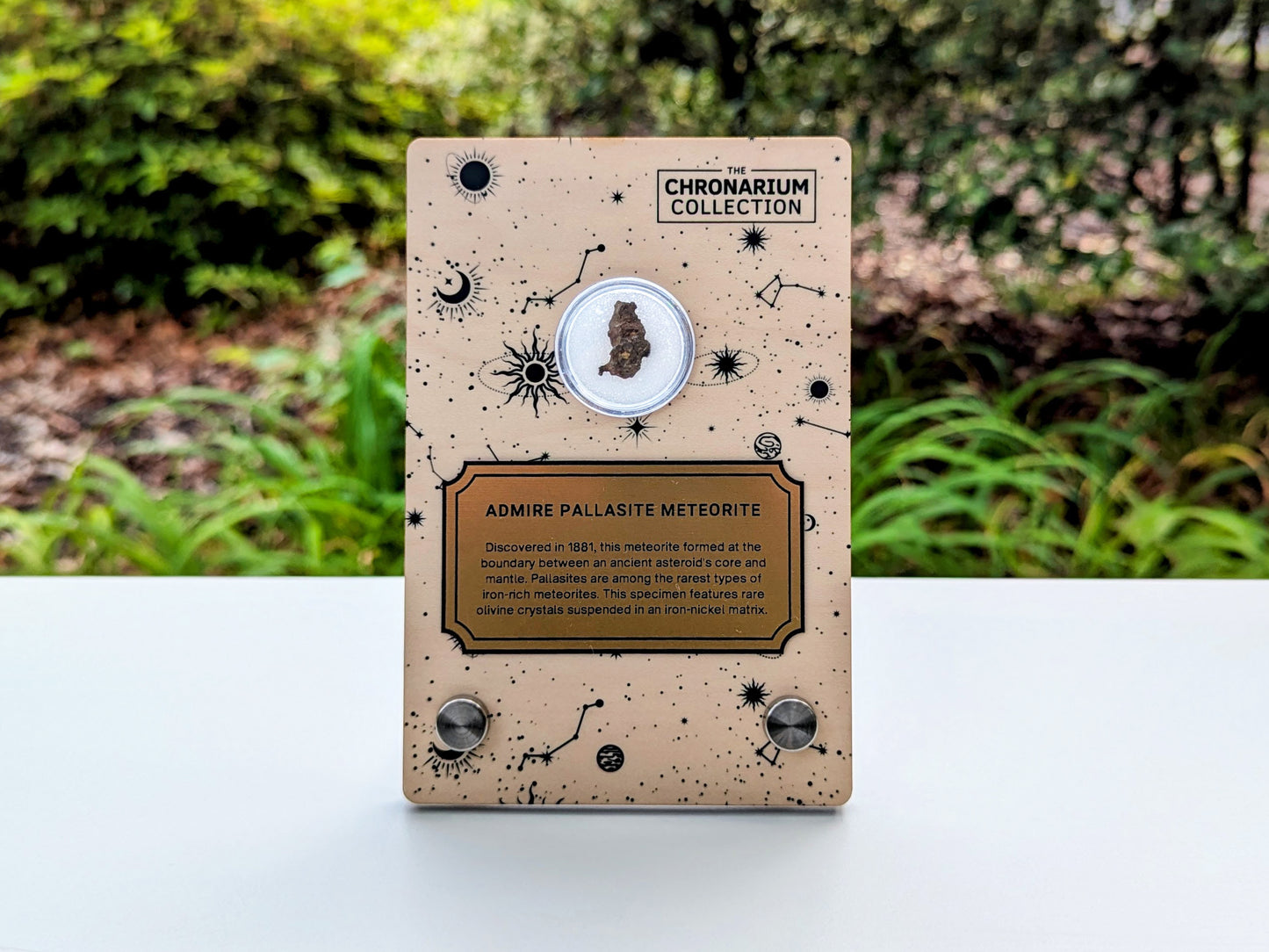 Admire Pallasite Meteorite