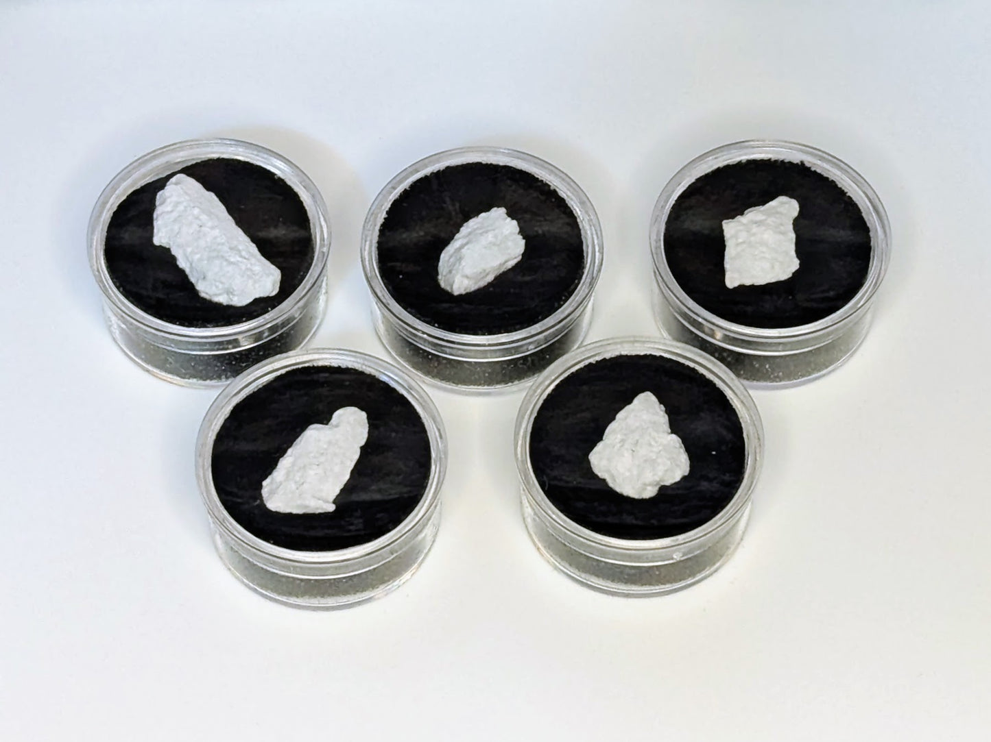 Space Shuttle Endeavour Thermal Tile in Wood Display