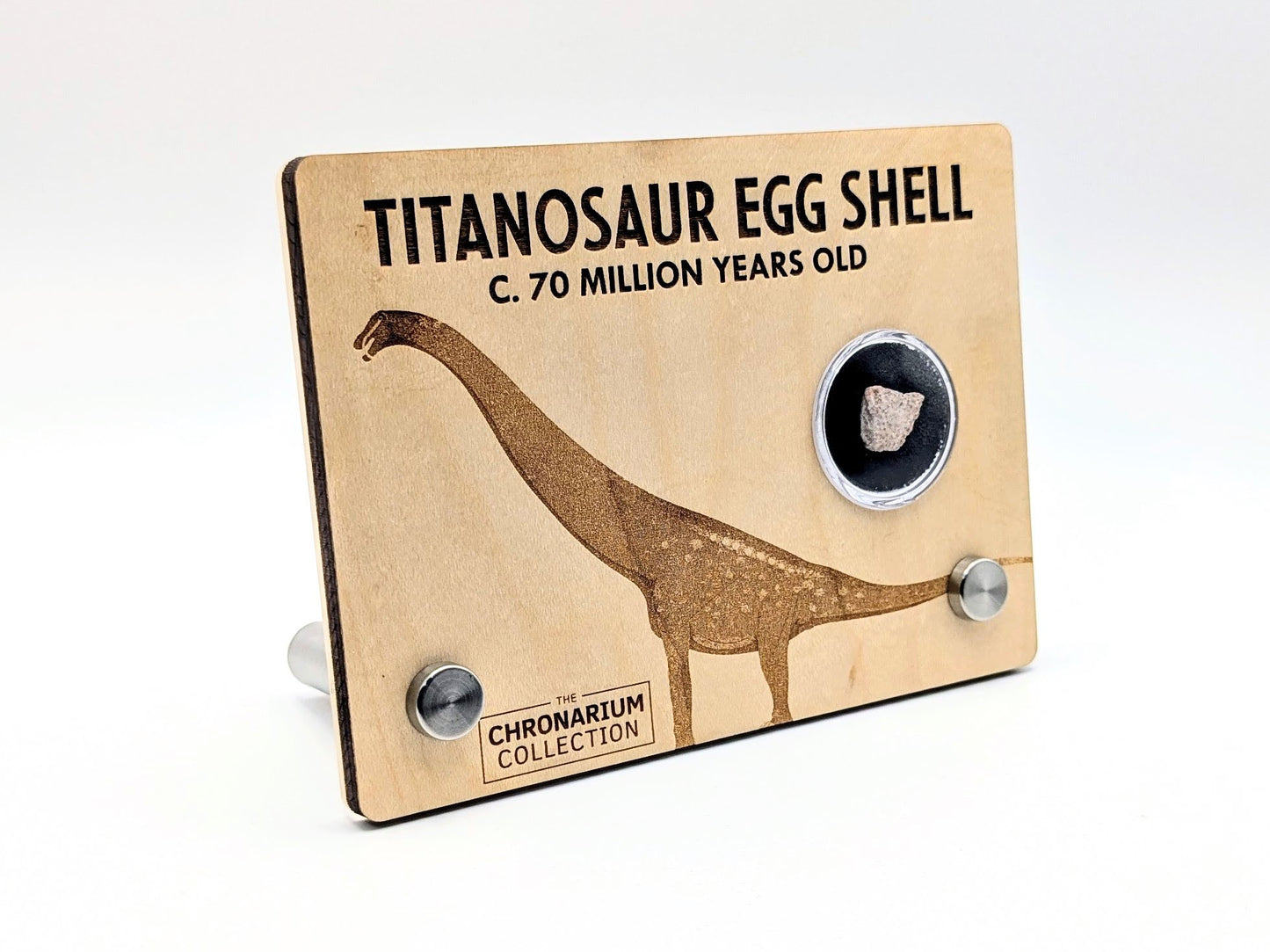 Titanosaur Fossilized Egg Shell
