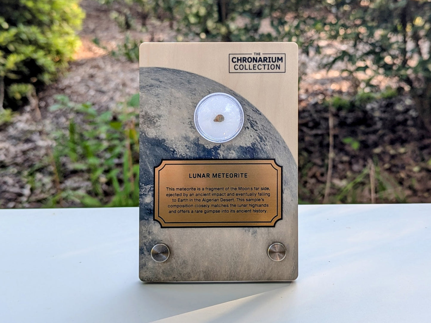 Lunar Highlands Meteorite