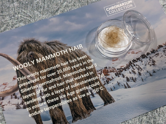 Woolly Mammoth Hair