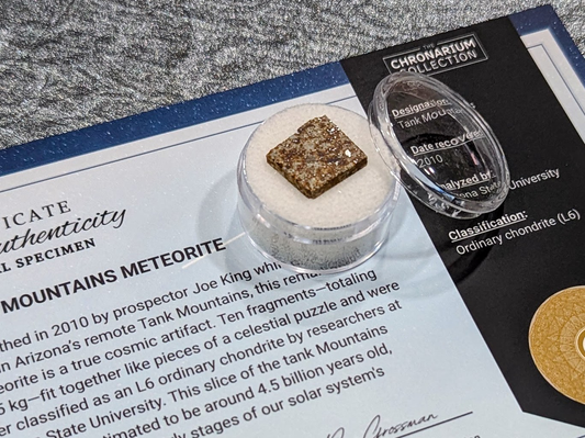 Early Solar System Meteorite