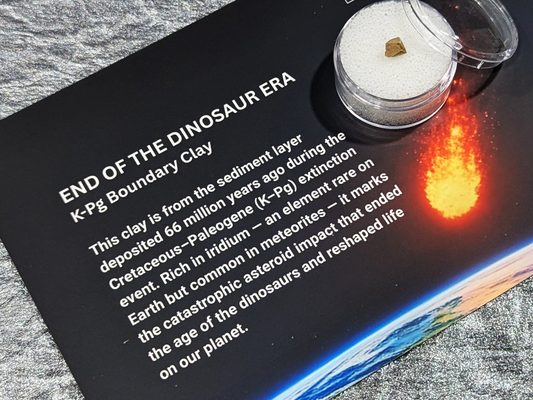 End of the Dinosaur Era