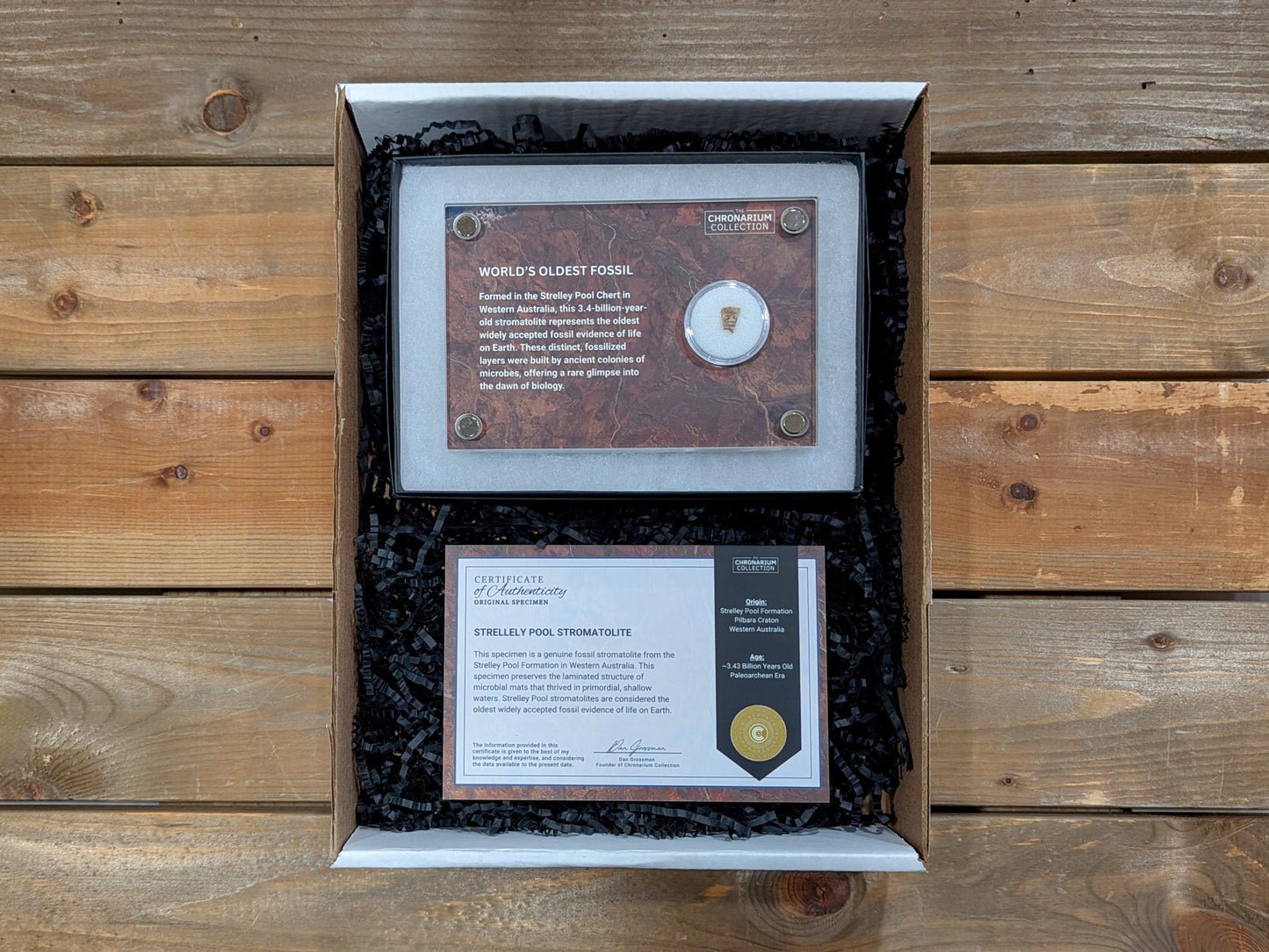 World's Oldest Fossil