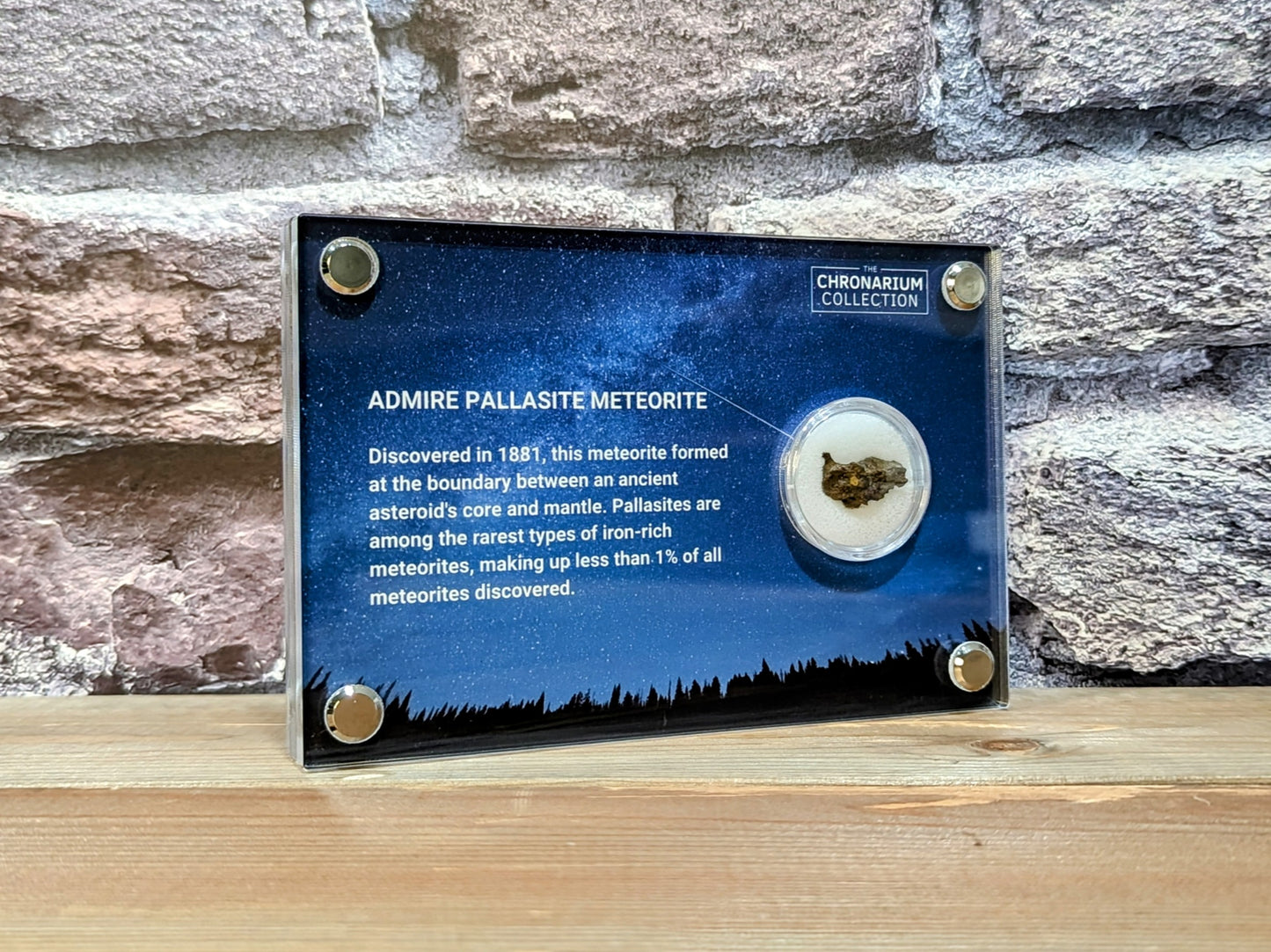 Admire Pallasite Meteorite