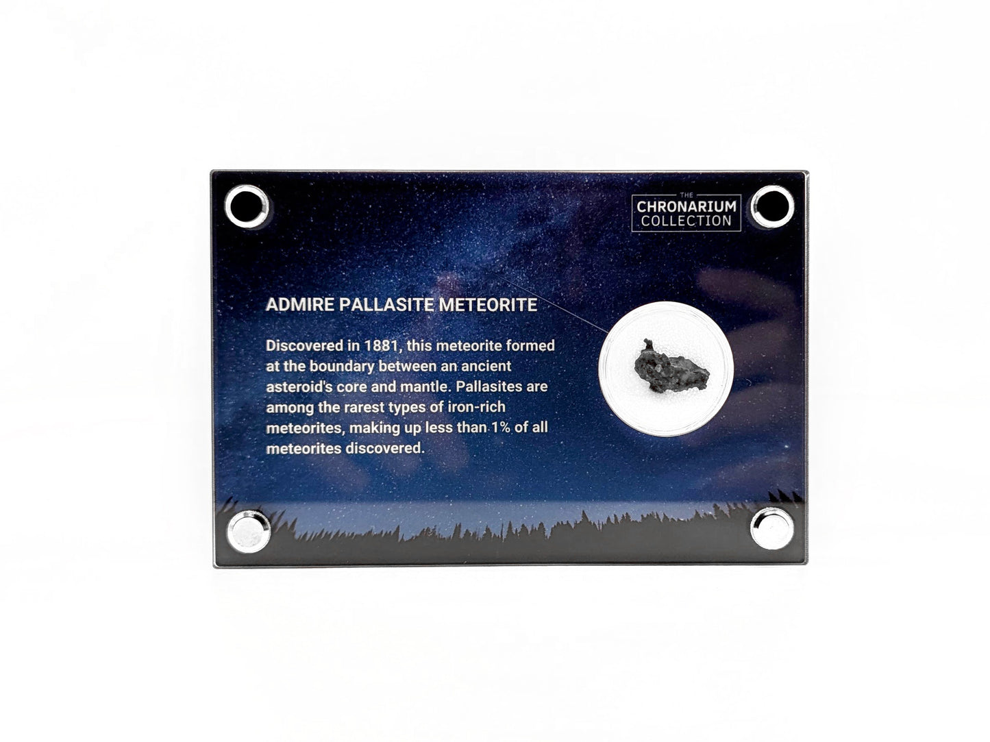 Admire Pallasite Meteorite