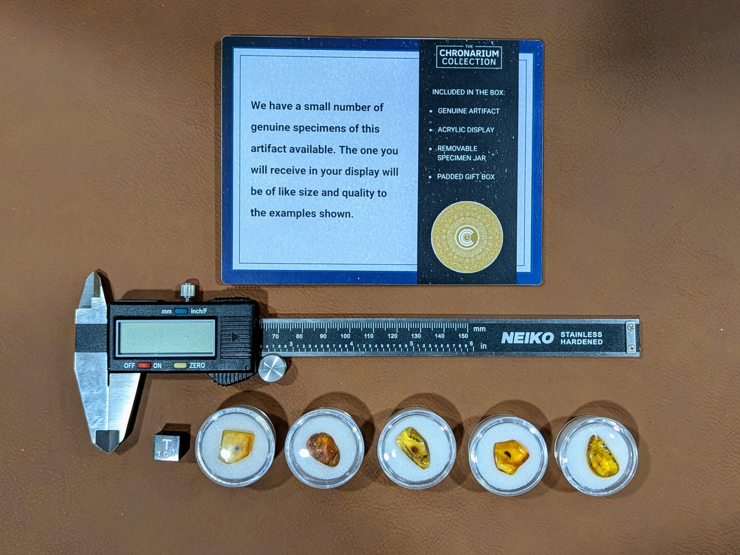 Fossilized Insect in Amber