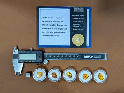 Fossilized Insect in Amber