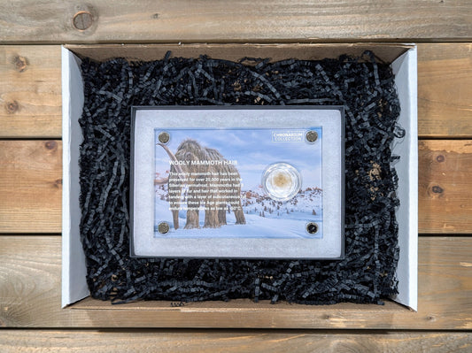 Woolly Mammoth Hair
