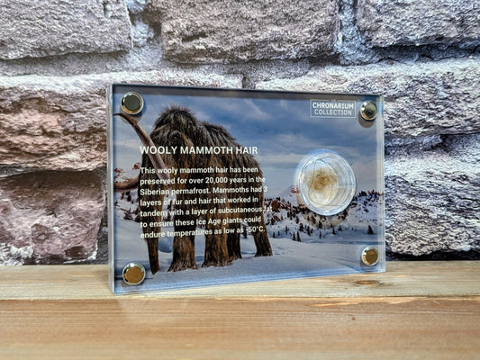 Woolly Mammoth Hair