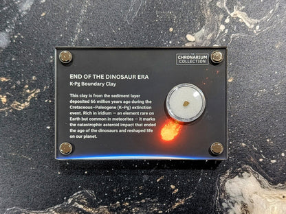 End of the Dinosaur Era