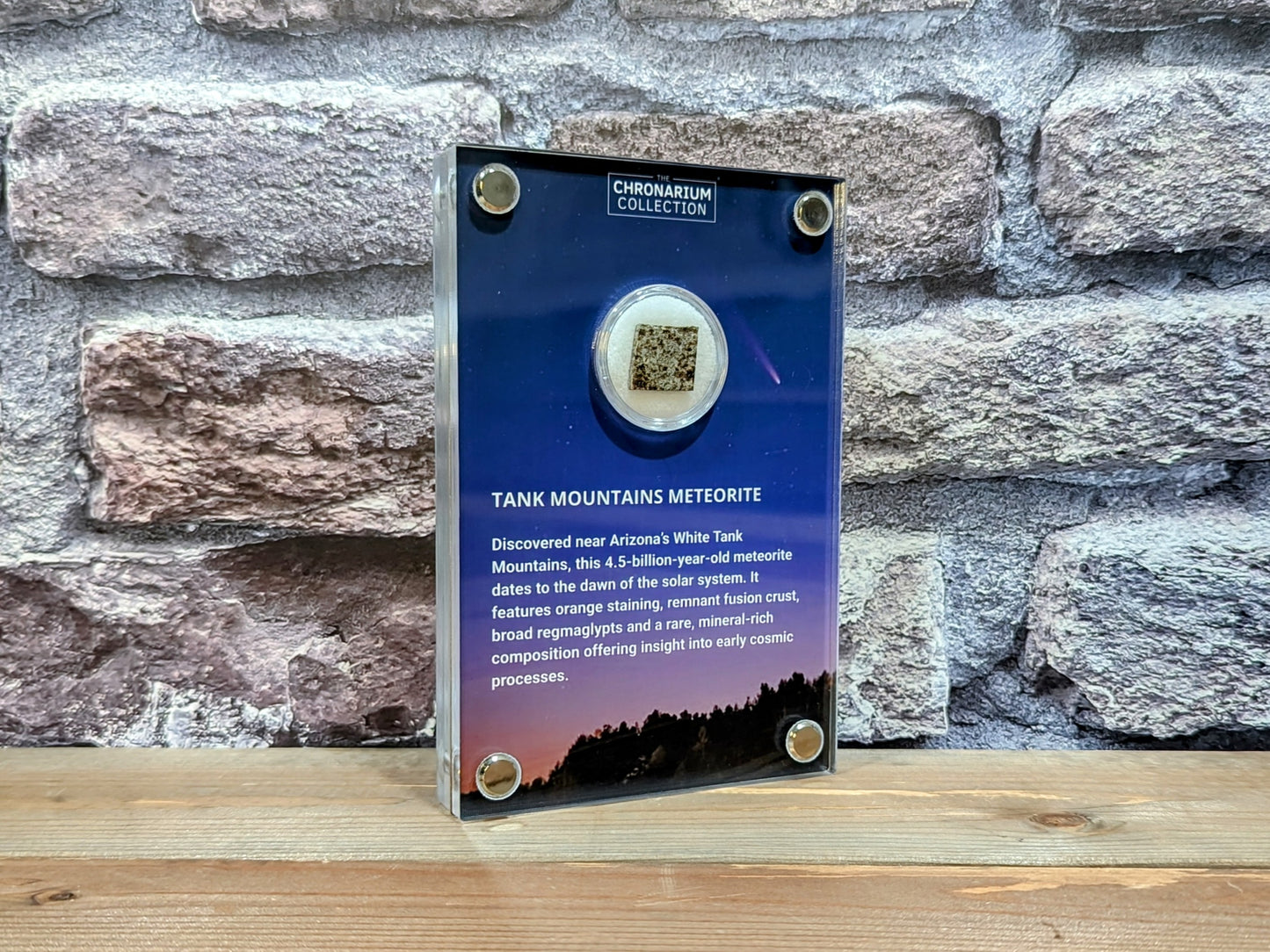 Early Solar System Meteorite