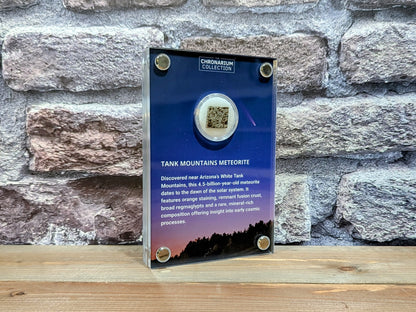 Early Solar System Meteorite
