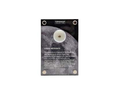 Lunar Highlands Meteorite