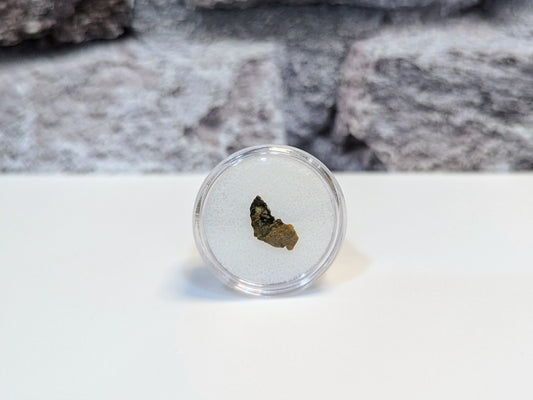 Lunar Meteorite