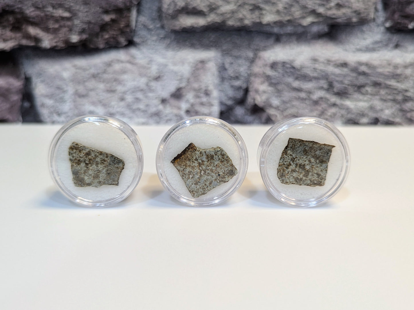 Early Solar System Meteorite