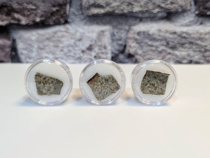Early Solar System Meteorite