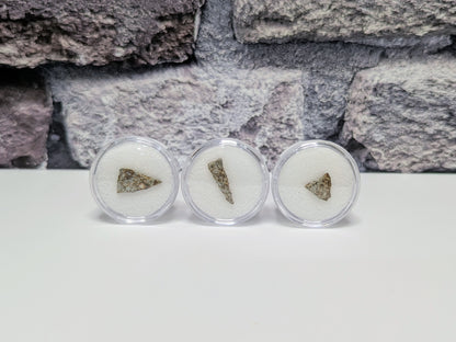 Early Solar System Meteorite