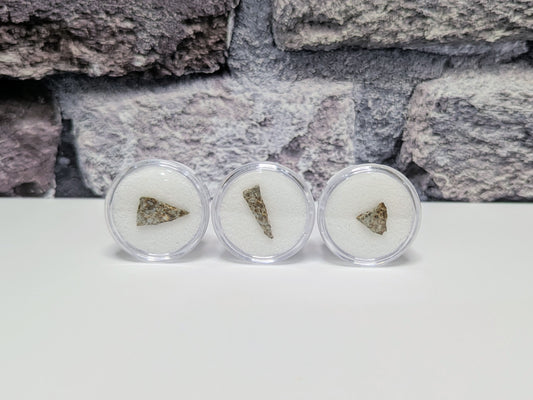 Early Solar System Meteorite