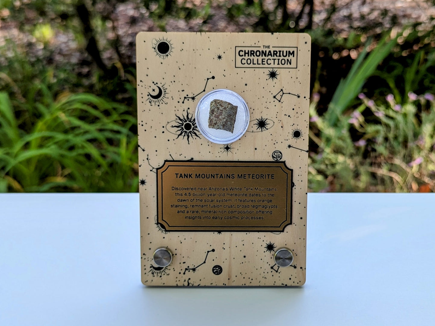 Early Solar System Meteorite