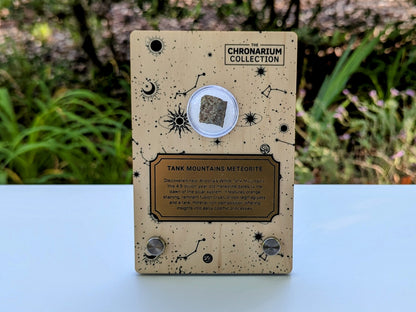 Early Solar System Meteorite
