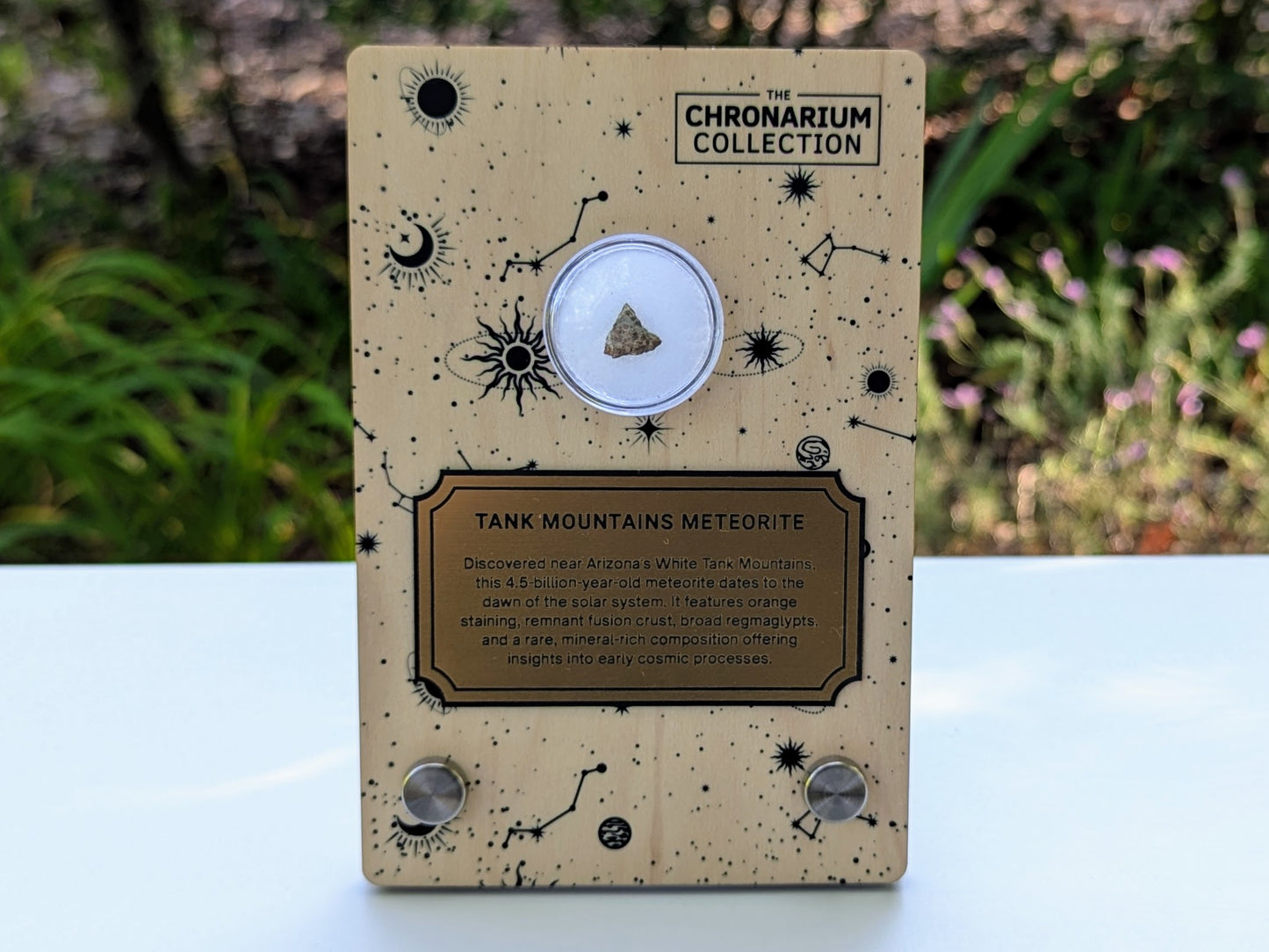Early Solar System Meteorite