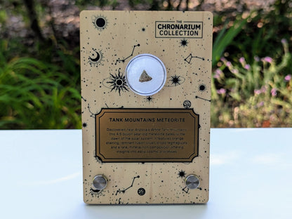 Early Solar System Meteorite