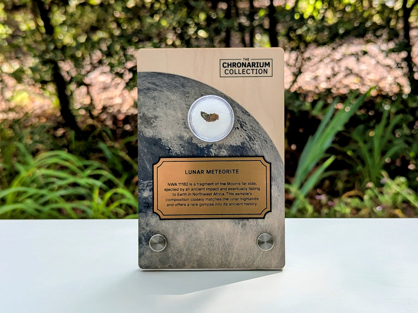 Lunar Highlands Meteorite