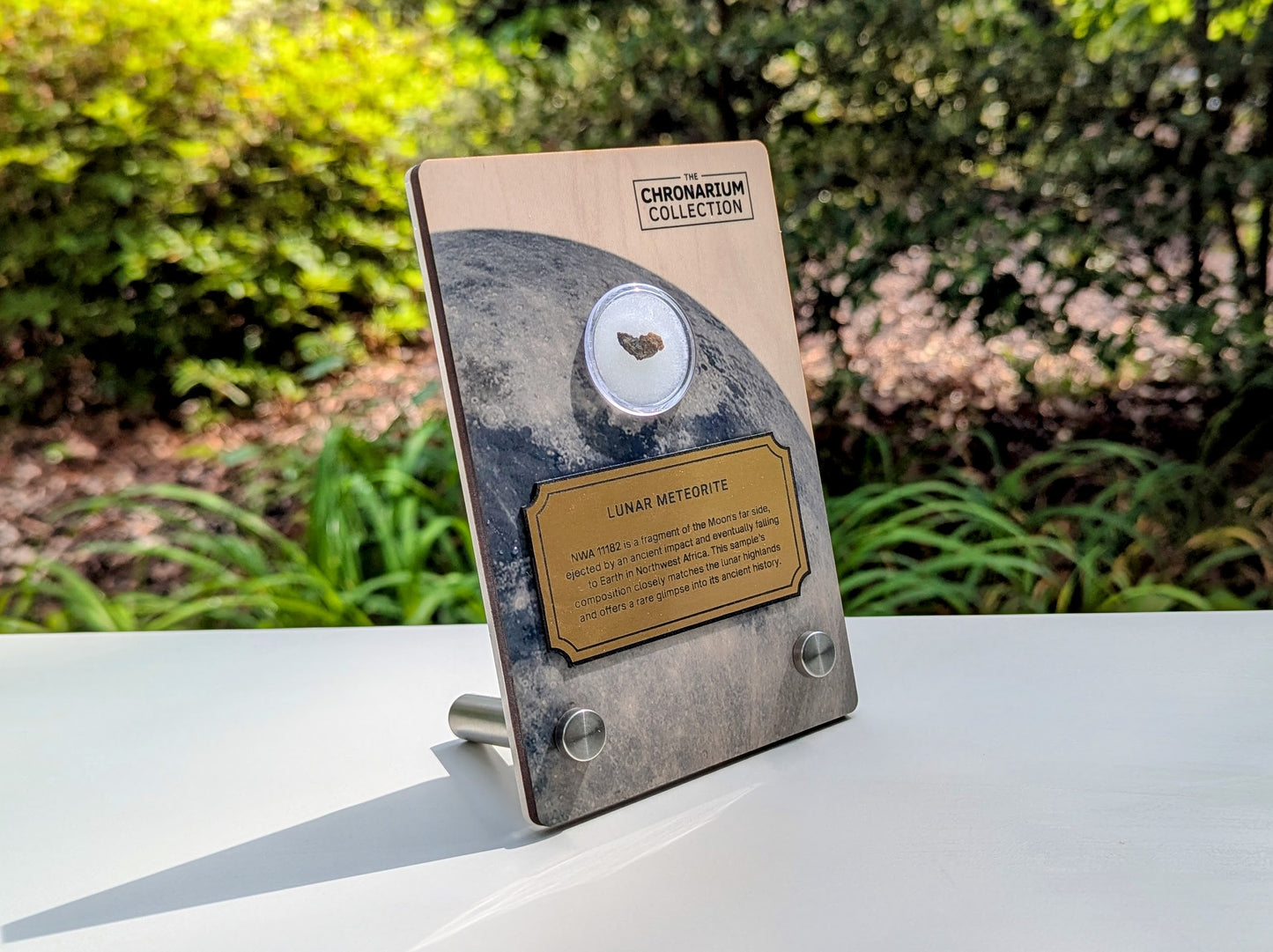 Lunar Highlands Meteorite