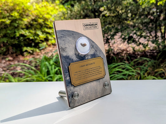 Lunar Highlands Meteorite Fragment