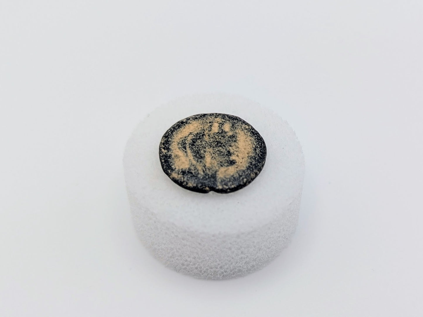 Greek Coin of Antioch