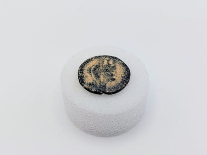 Greek Coin of Antioch