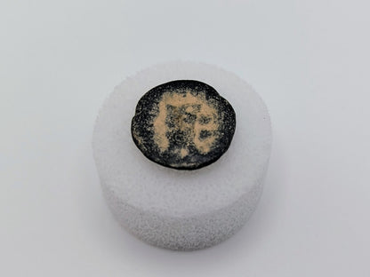 Greek Coin of Antioch