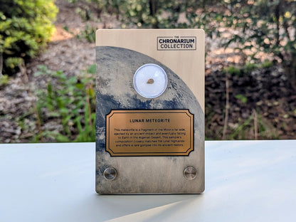 Lunar Highlands Meteorite