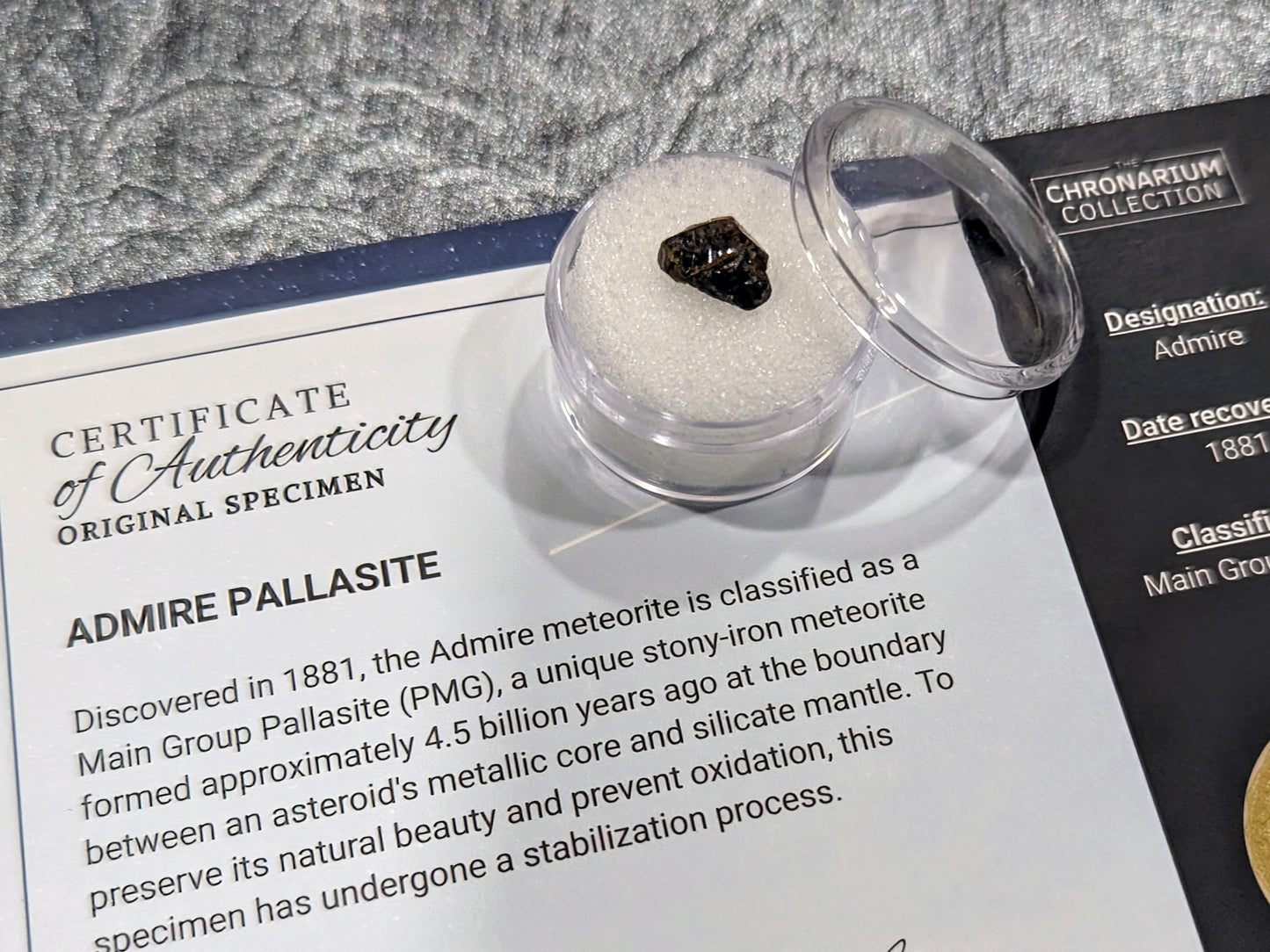 Admire Pallasite Meteorite