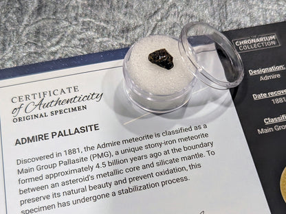 Admire Pallasite Meteorite