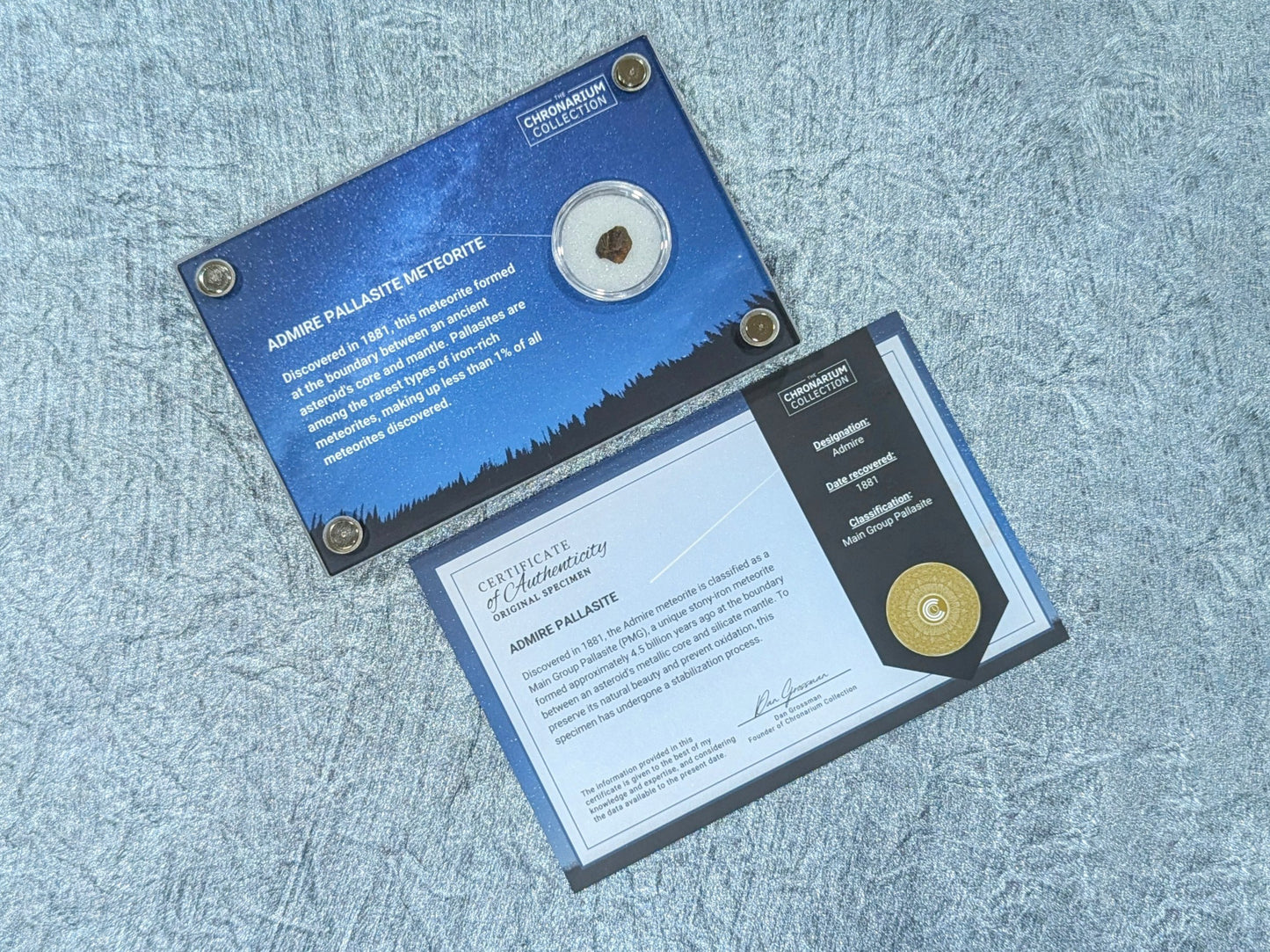 Admire Pallasite Meteorite