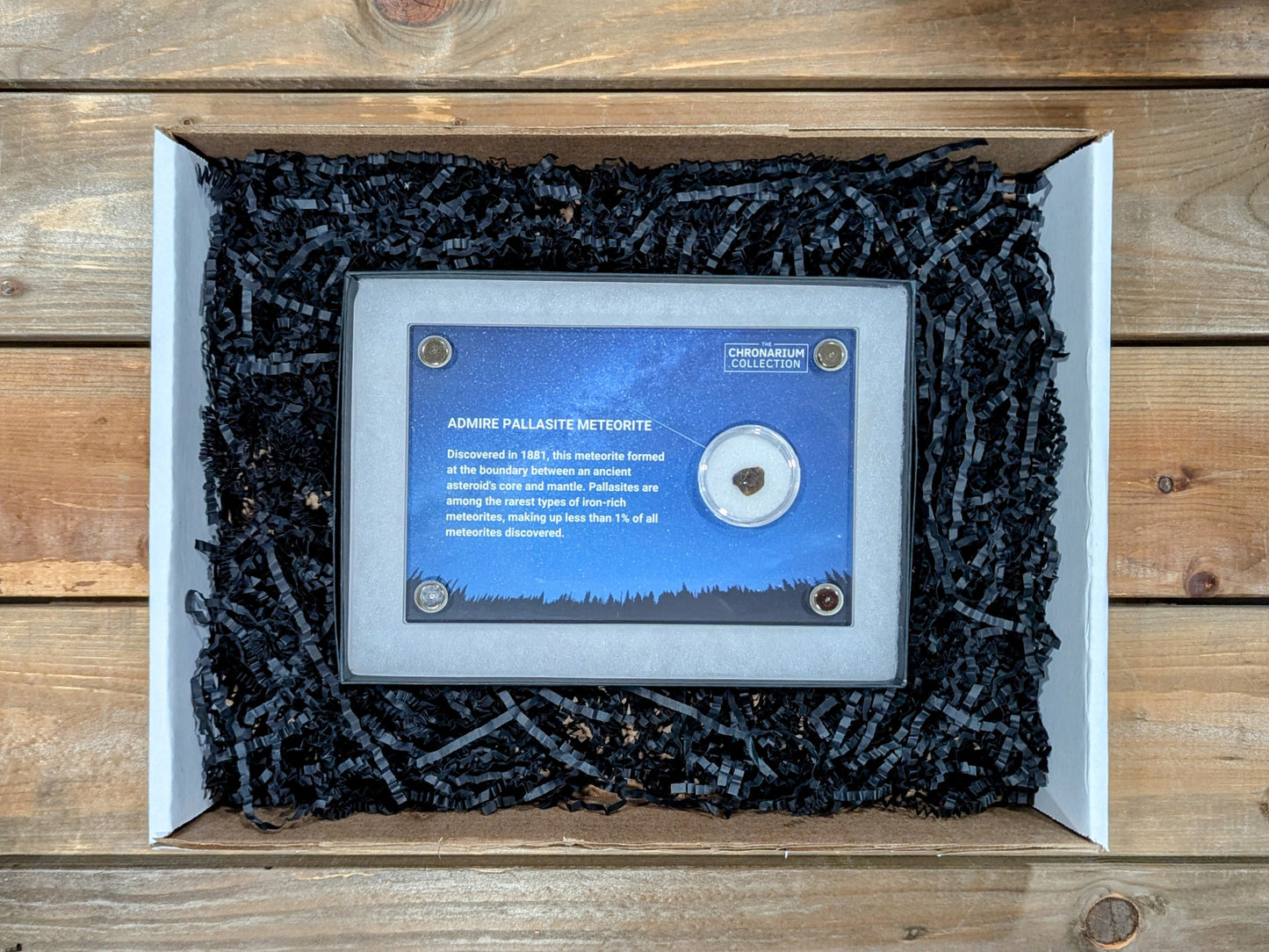 Admire Pallasite Meteorite