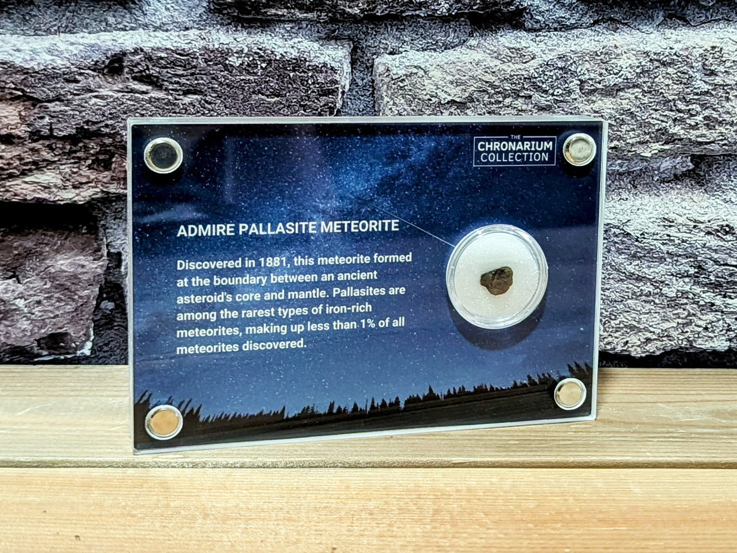 Admire Pallasite Meteorite