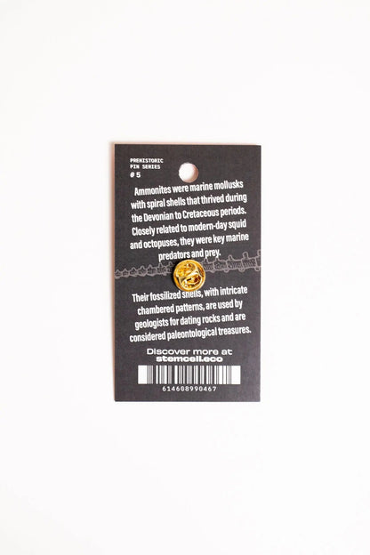 Ammonite Pin