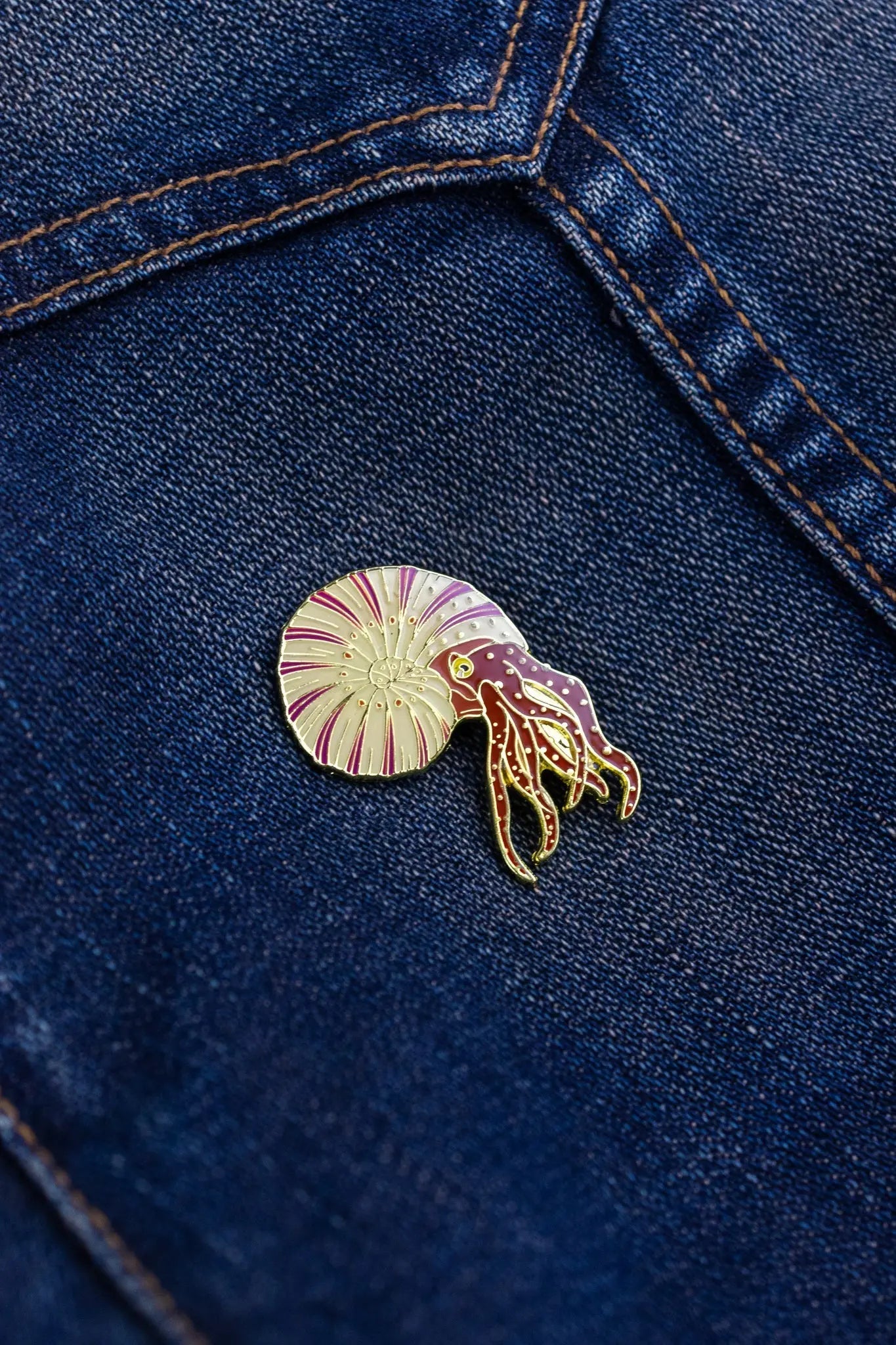 Ammonite Pin