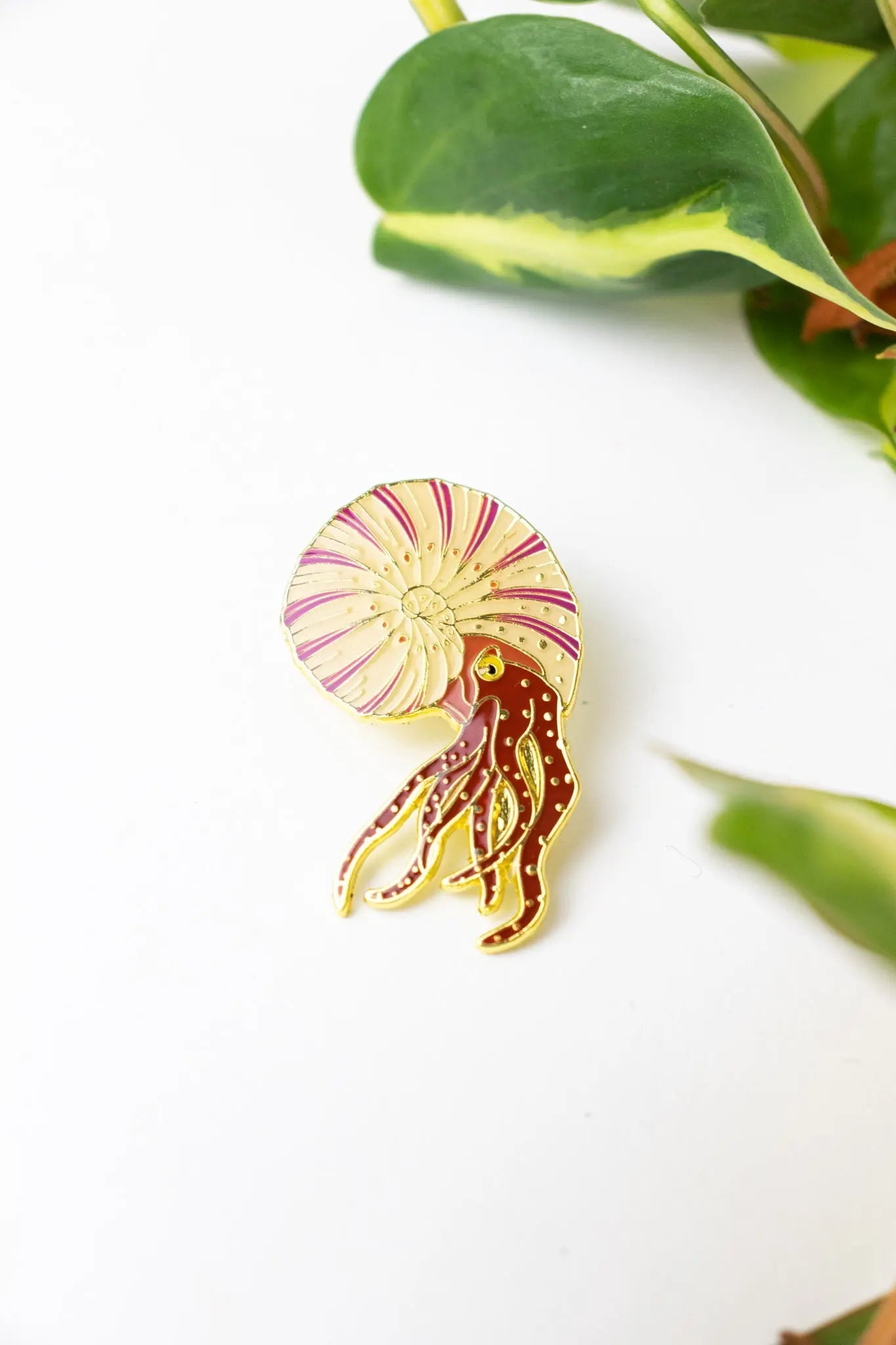 Ammonite Pin